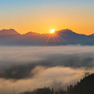 tea-triratna-sun